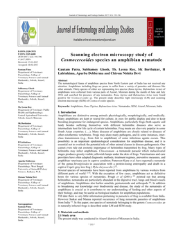 Scanning Electron Microscopy Study of Cosmocercoides Species An