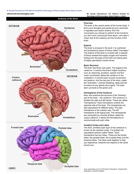 Exterior Lobes Interior