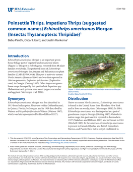 Echinothrips Americanus Morgan (Insecta: Thysanoptera: Thripidae)1 Babu Panthi, Oscar Liburd, and Justin Renkema2