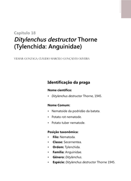 Ditylenchus Destructor Thorne (Tylenchida: Anguinidae)