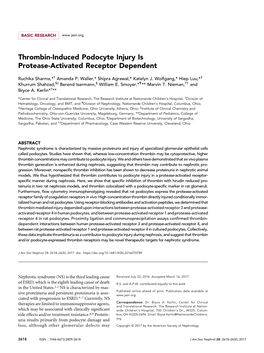 Thrombin-Induced Podocyte Injury Is Protease-Activated Receptor Dependent