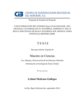 Medrano L TESIS.Pdf