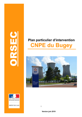 Plan Particulier D'intervention (PPI) Constitue La Principale Catégorie De Ces Dispositions Spécifiques Intégrées À L'orsec