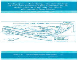 Stratigraphy, Sedimentology, and Paleontology of the Lower Eocene San Jose Formation in the Central Portion of the San Juan Basin, Northwestern New Mexico