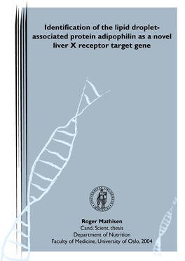 Hovedfagsoppgaverm.Pdf (1.589Mb)