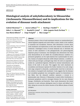 Histological Analysis of Ankylothecodonty in Silesauridae (Archosauria: Dinosauriformes) and Its Implications for the Evolution of Dinosaur Tooth Attachment