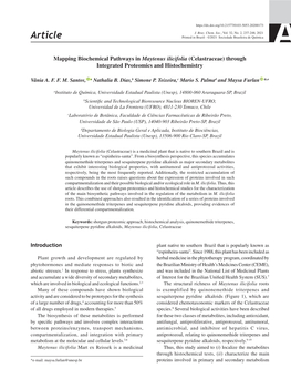 Article Printed in Brazil - ©2021 Sociedade Brasileira De Química