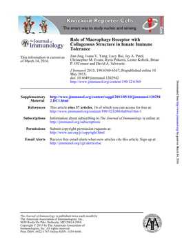 Tolerance Collagenous Structure in Innate Immune Role of Macrophage