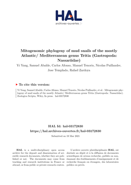 Mitogenomic Phylogeny of Mud Snails of the Mostly Atlantic