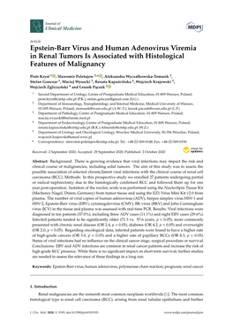 Epstein-Barr Virus and Human Adenovirus Viremia in Renal Tumors Is Associated with Histological Features of Malignancy