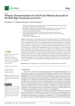 Primary Characterization of a Life-Cycle Mutant Akasusabi of the Red Alga Neopyropia Yezoensis