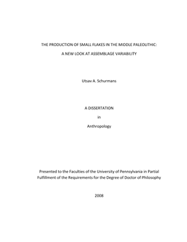 The Production of Small Flakes in the Middle Paleolithic