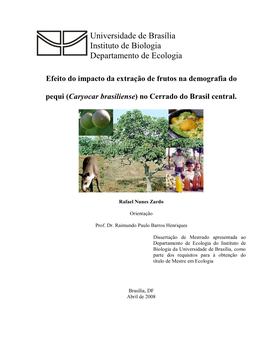 Universidade De Brasília Instituto De Biologia Departamento De Ecologia