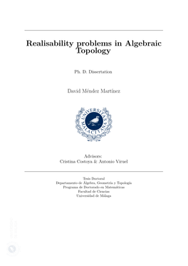 Realisability Problems in Algebraic Topology