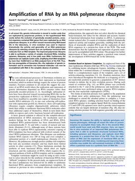 Amplification of RNA by an RNA Polymerase Ribozyme