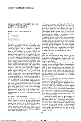 Cranial Pneumatization in the Indain Weaver Bird, Ploccus Philippinus