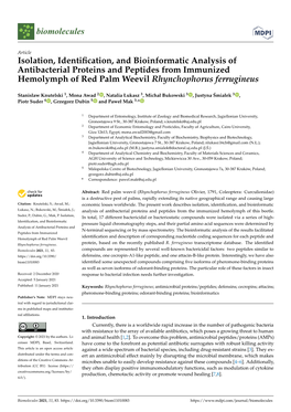 Isolation, Identification, and Bioinformatic Analysis of Antibacterial Proteins and Peptides from Immunized Hemolymph of Red