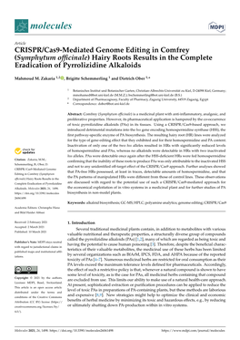 CRISPR/Cas9-Mediated Genome Editing in Comfrey (Symphytum Ofﬁcinale) Hairy Roots Results in the Complete Eradication of Pyrrolizidine Alkaloids