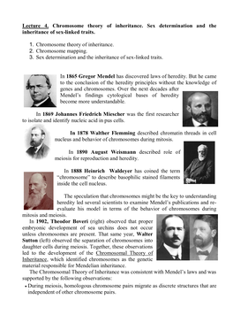 Discovery of the Sex-Linked Traits. in 1910, Morgan Published Details of His Research in an Article Titled “Sex Limited Inheritance in Drosophila