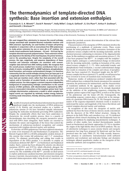 The Thermodynamics of Template-Directed DNA Synthesis: Base Insertion and Extension Enthalpies