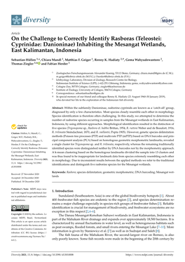 On the Challenge to Correctly Identify Rasboras (Teleostei: Cyprinidae: Danioninae) Inhabiting the Mesangat Wetlands, East Kalimantan, Indonesia