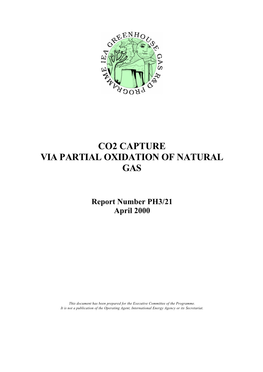 CO2 Capture by Partial Oxidation of Natural