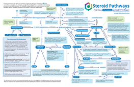 Steroid Pathways Spironolactone84, Dexamethasone85, Adrenal Gland (+) 86 84 87 Ketoconazole29, Bile Acid , St