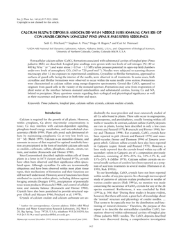 Calcium Sulfate Deposits Associated with Needle Substomatal Cavities of Container-Grown Longleaf Pine (Pinus Palustris) Seedlings