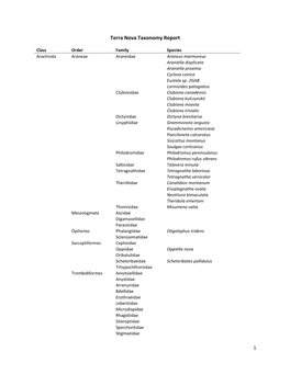 Terra Nova Taxonomy Report