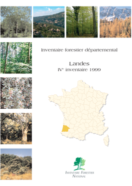 Landes Ive Inventaire 1999