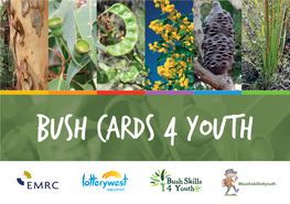 Bush Cards 4 Youth