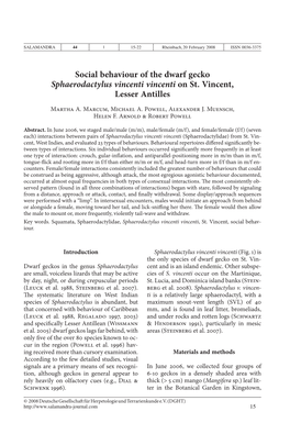 Social Behaviour of the Dwarf Gecko Sphaerodactylus Vincenti Vincenti on St