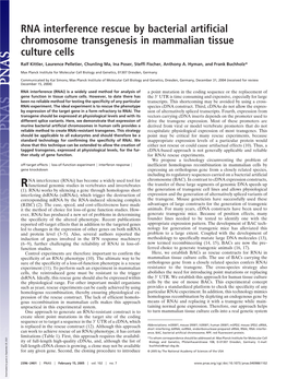 RNA Interference Rescue by Bacterial Artificial Chromosome Transgenesis in Mammalian Tissue Culture Cells