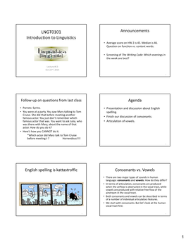 Consonants and Vowels