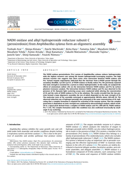 NADH Oxidase and Alkyl Hydroperoxide Reductase Subunit C (Peroxiredoxin) from Amphibacillus Xylanus Form an Oligomeric Assembly