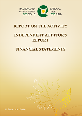 Report on the Activity Independent Auditor's