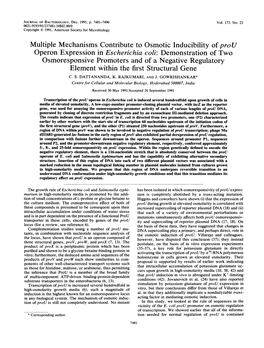 Element Within the First Structural Gene