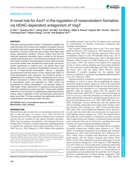 A Novel Role for Ascl1 in the Regulation of Mesendoderm Formation Via