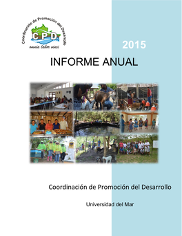2015 Informe Anual