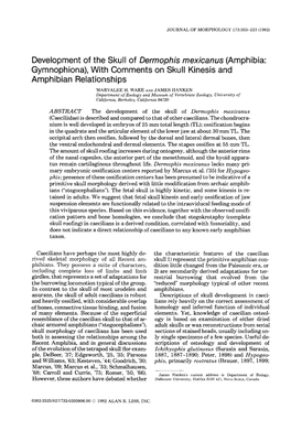 Development of the Skull of Dermophis Mexicanus (Amphibia: Gymnophiona), with Comments on Skull Kinesis and Amphibian Relationships