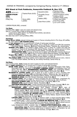 HORSE in TRAINING, Consigned by Carriganog Racing, Ireland (J