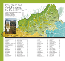 Conegliano and Valdobbiadene, the Land of Prosecco