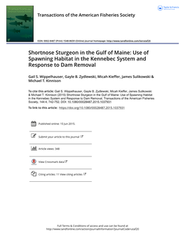 Shortnose Sturgeon in the Gulf of Maine: Use of Spawning Habitat in the Kennebec System and Response to Dam Removal