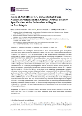 Roles of ASYMMETRIC LEAVES2 (AS2) and Nucleolar Proteins in the Adaxial–Abaxial Polarity Specification at the Perinucleolar Re