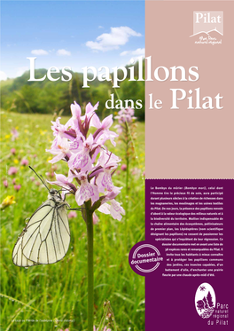 Les Papillons Dans Le Pilat Photo : ©G