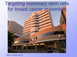 Cancer Stem Cells Extensively and Form New Tumors