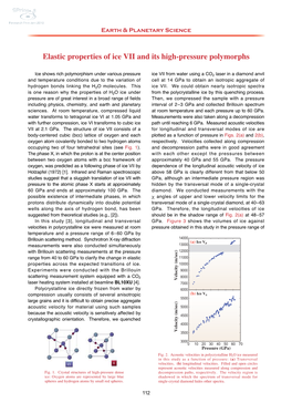 Elastic Properties of Ice VII and Its High-Pressure Polymorphs Y