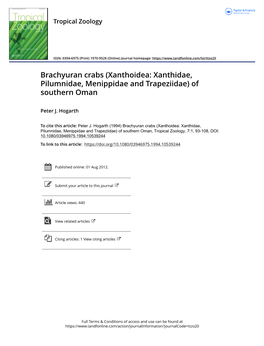 Xanthoidea: Xanthidae, Pilumnidae, Menippidae and Trapeziidae) of Southern Oman