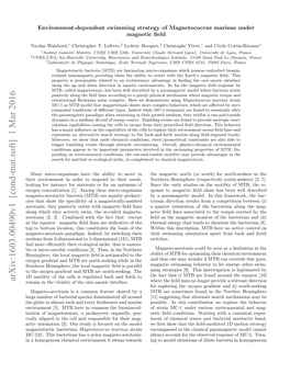 Environment-Dependent Swimming Strategy of Magnetococcus Marinus Under Magnetic Field