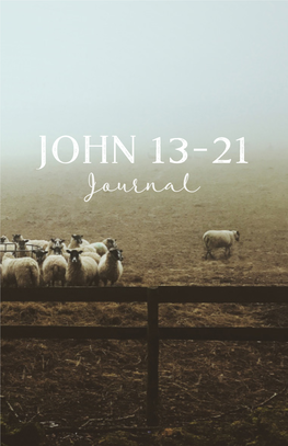 John-13-21-Journal.Pdf